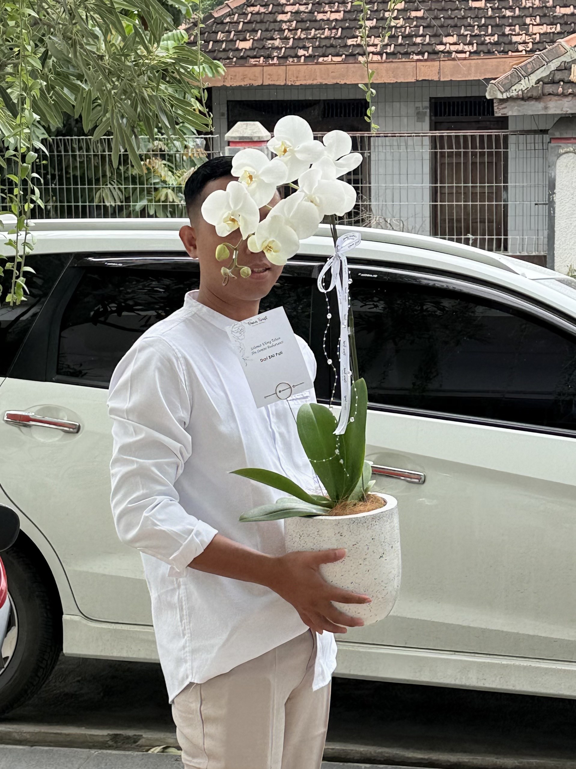 Single Orchid Fresh foto 3