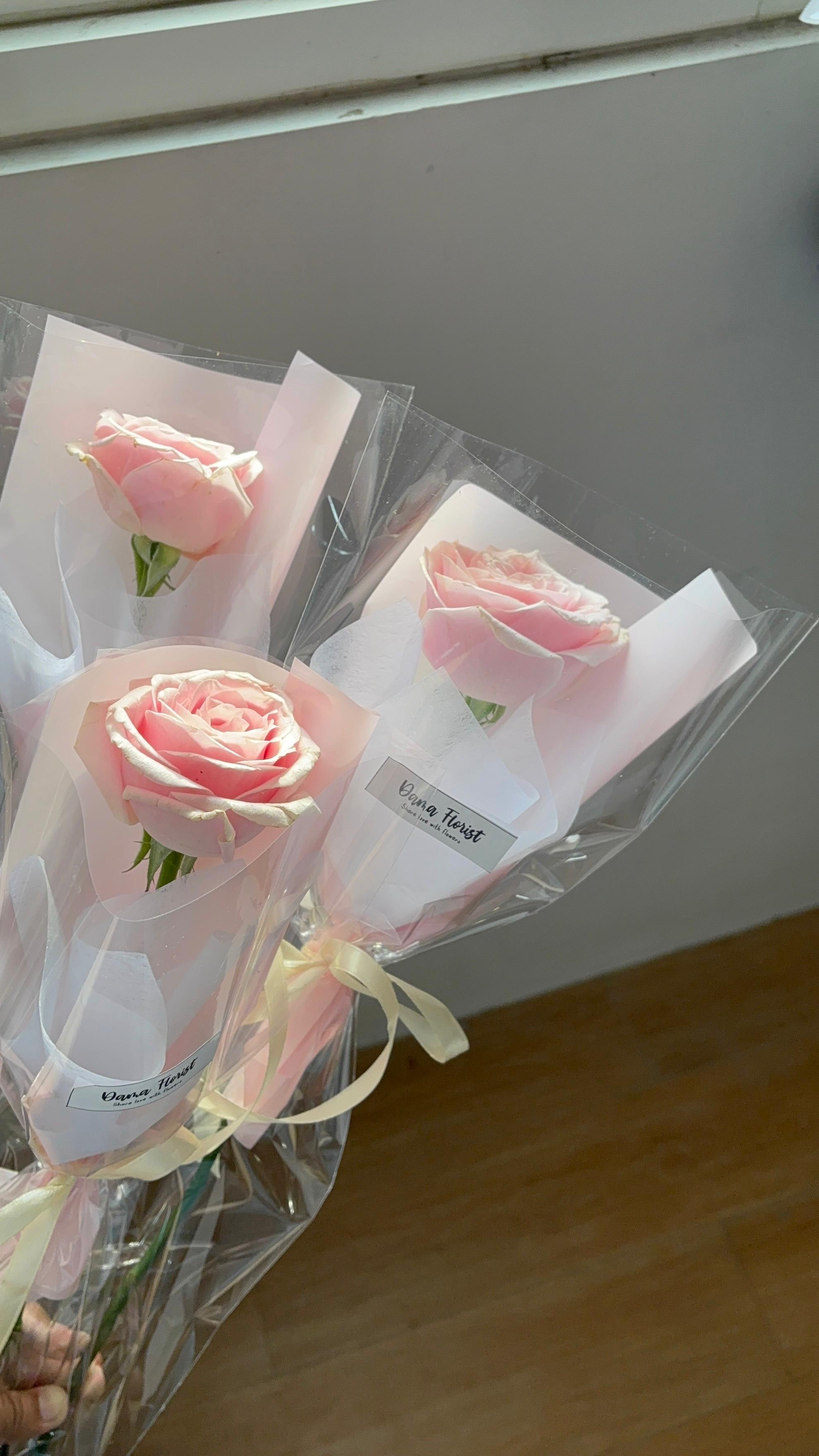Single Rose foto 4