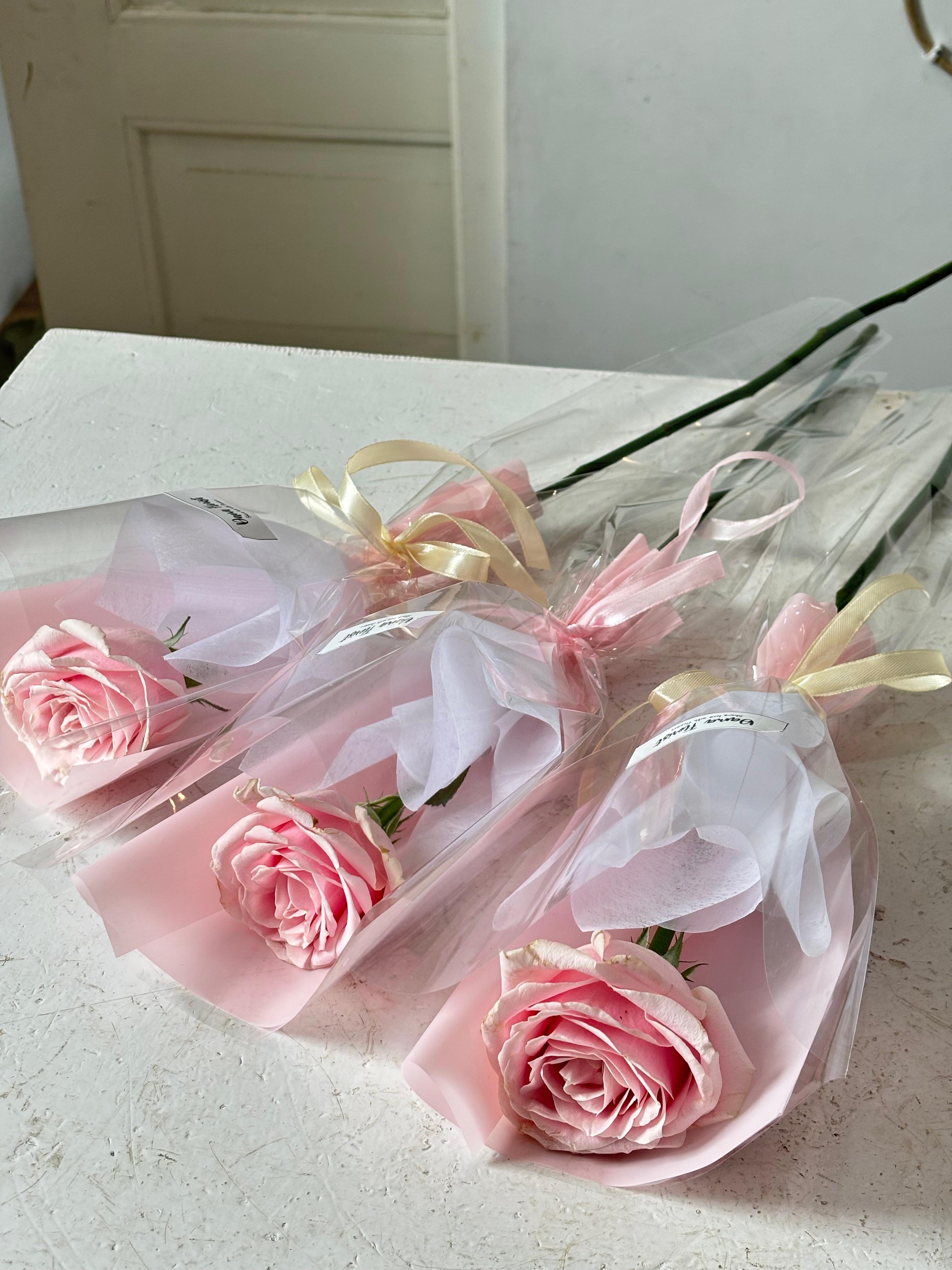 Single Rose foto 3