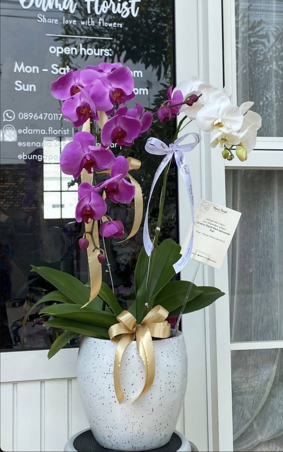 Double Orchid Fresh